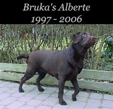 Bruka's Alberte 1997 - 2006
