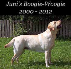 Juni's Boogie-Woogie 2000 - 2012