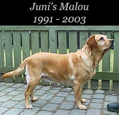 Juni's Malou 1991 - 2003